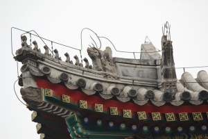 IMG_8860.JPG